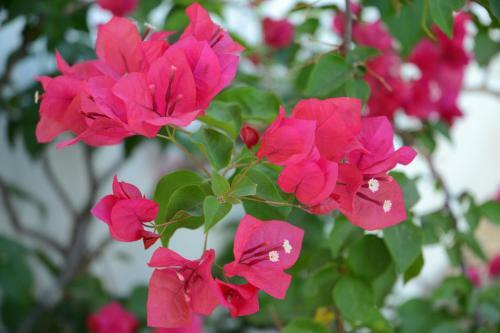 Bed & Breakfast Casa Mimi