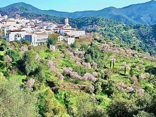 Villa Hide Away In Spain Peace Serenity