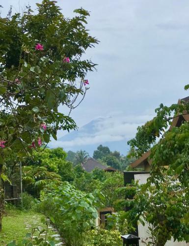 Vimala Hills Villa 4 Bedroom With Mountain View
