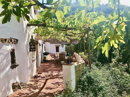 Hide Away In Spain Farmhouse 2