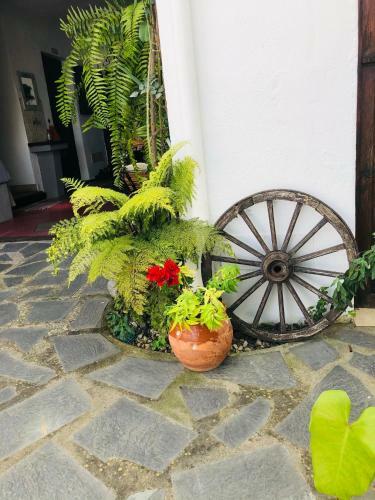 Apartamento Casa Lucia