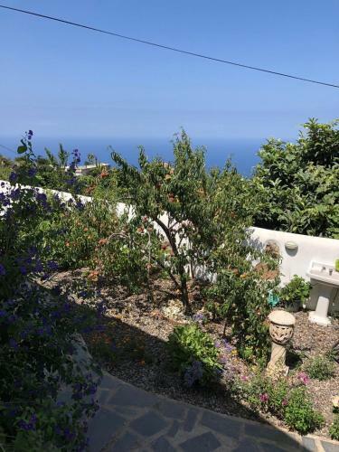 Apartamento Casa Lucia
