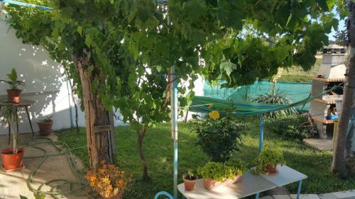 Agroturismo The Cozy Home