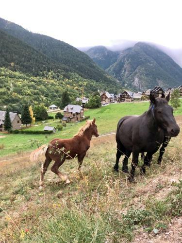 Espacioso Apartamento En El Naut Aran