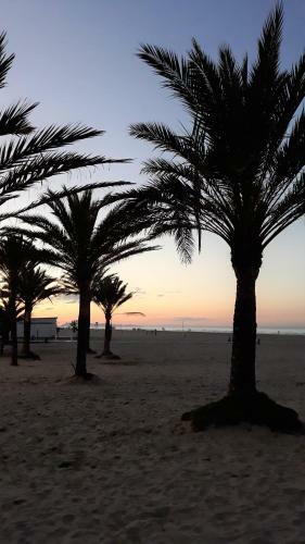 Apartamento Sol & Playa Gandia