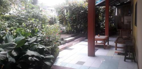 Albergue Bunk House Bogor (kostel)