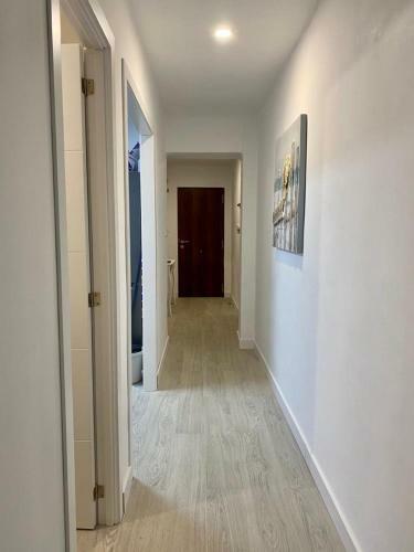 Apartamento Nav�o