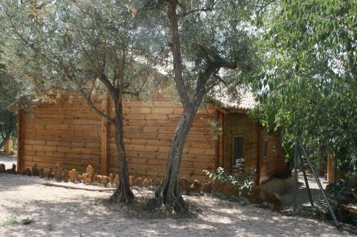 Cabanas El Nogueral