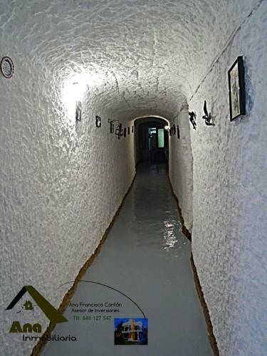 Cueva Navarro