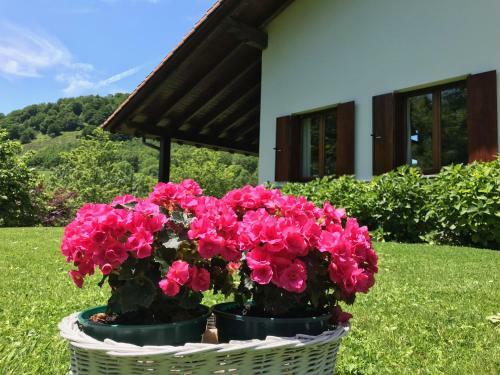 Agroturismo Etxaburu