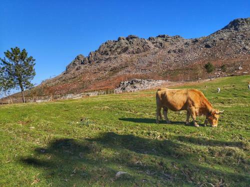 Alojamiento En El Coraz�n de La Sierra Del Gali�eiro