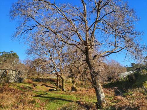 Alojamiento En El Coraz�n de La Sierra Del Gali�eiro
