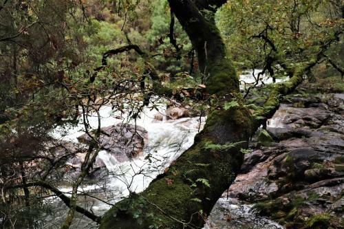 Mar Y Monta�a En Las R�as Baixas