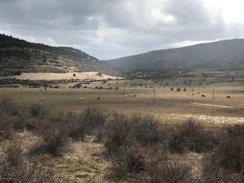 Hotel Rural Grado Del Pico