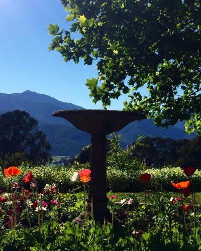 Villa Birches Luxury Spa Chalets