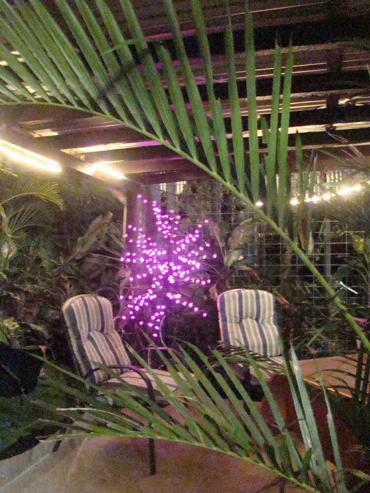 Albergue Orchid Guest House