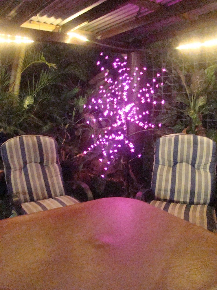 Albergue Orchid Guest House
