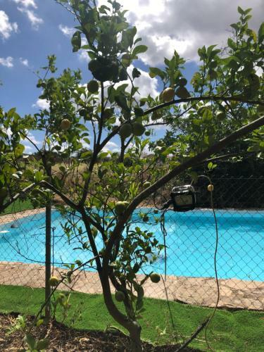 Vivienda Tur�stica La Huerta