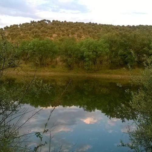 Los Alisos Casa Rural