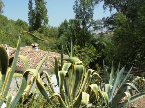 Villa El Pastor