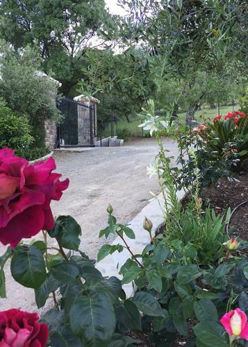 Villa Casa Rural La Bodega