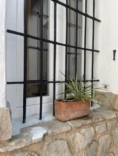 La Casa 5