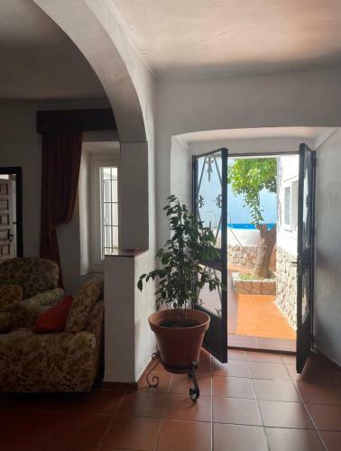 La Casa 5