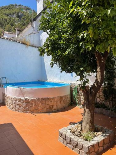 La Casa 5