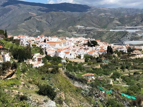 Bed & Breakfast Limonero Bnb