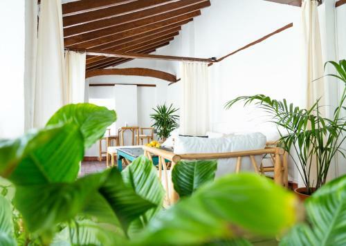 Bed & Breakfast Limonero Bnb