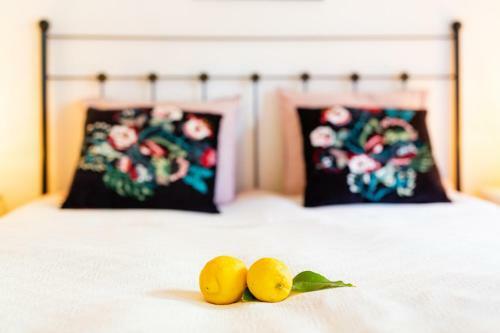 Bed & Breakfast Limonero Bnb
