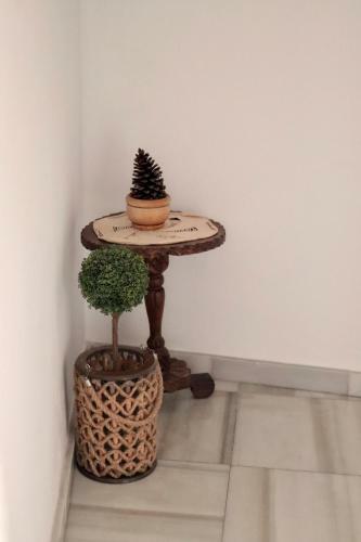 Apartamento Con Terraza