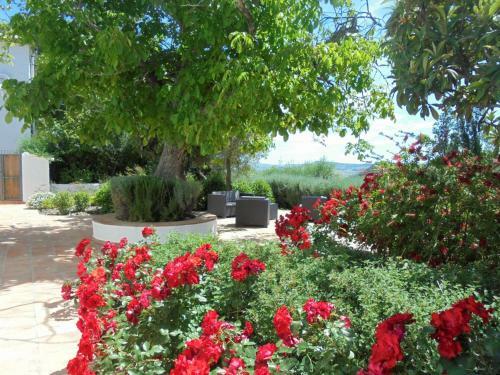 Agroturismo Betania
