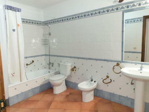 Apartamentos C�diz El Chico