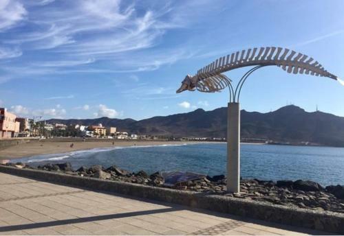 Paradise Apartament