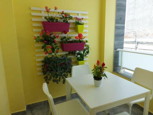 Apartamento La Graciosa