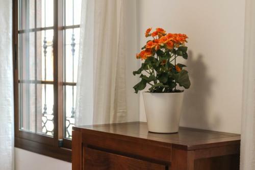 Apartamento Om Destiny Univers