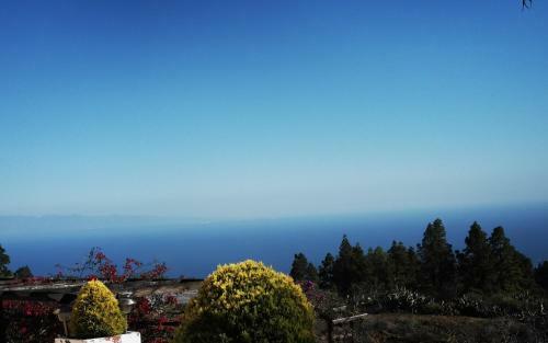 Finca Dulce