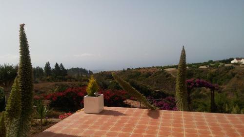 Finca Dulce