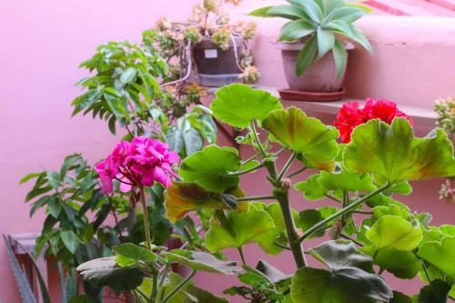 Hostal Happy Room