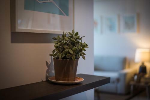 Architect's Beach Apartment
