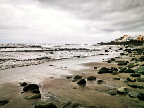 Circo Wave. Loft En El Mar
