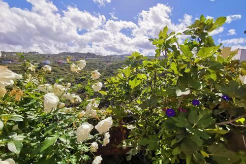 Rinconcito M�gico Romantic House With Jacuzzi, Beautiful Views And Barbecue