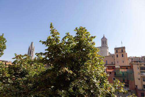 Bravissimo Pont De La Princesa, Comfortable 3-bedroom Apartment