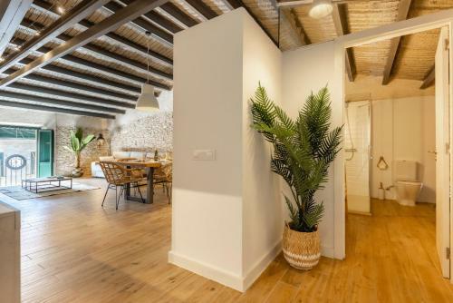 Apartamento Bravissimo Pla�a Del Vi, Design Penthouse
