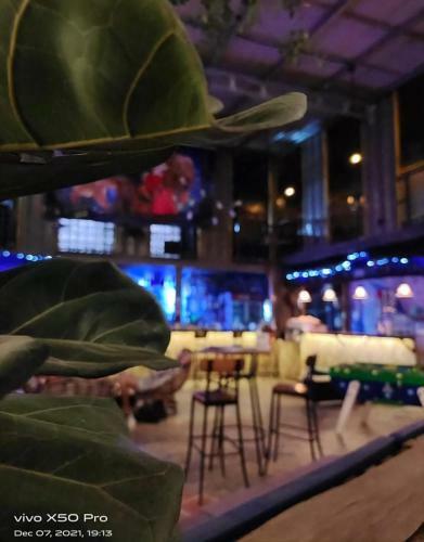 Revolution Hostels