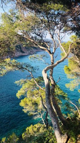 Apartamento Cala Salions, Chalana I