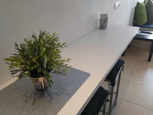 Centrico Y Acogedor Apartamento