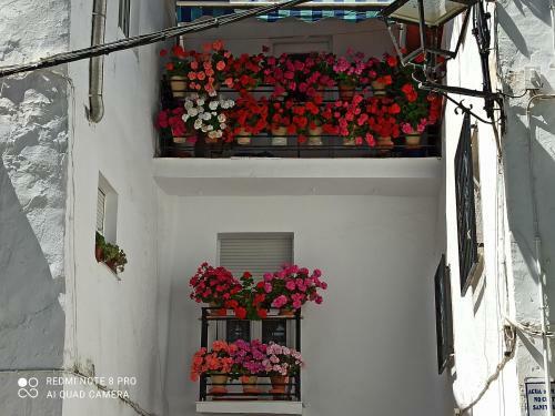 Apartamento Casa Jimenez