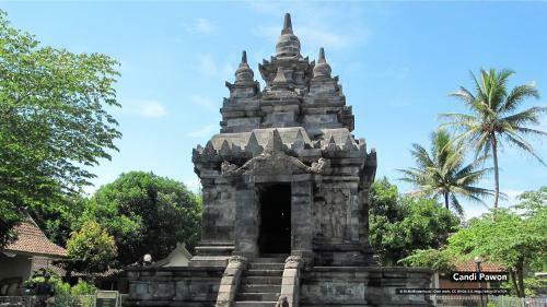 Homestay Assyifa